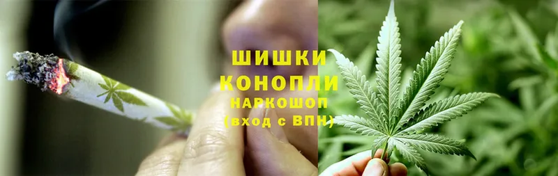 kraken сайт  Кириллов  Бошки марихуана OG Kush 